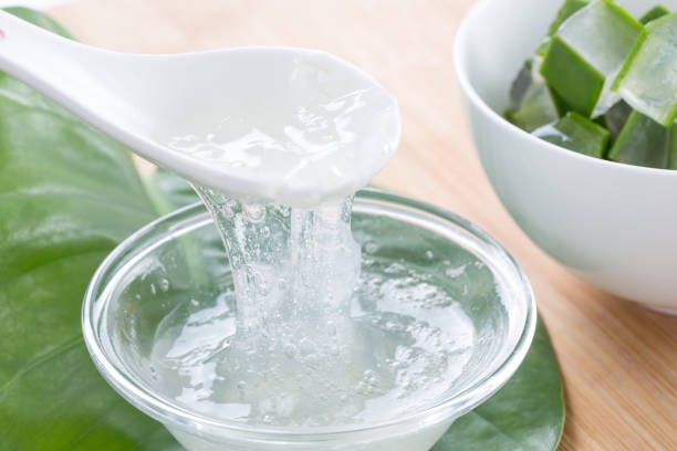 Aloe Vera Gel How to Make