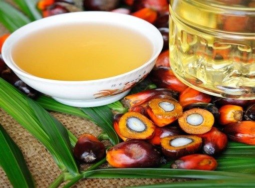 Palm Kernel Oil (Sustainable) – 1lb